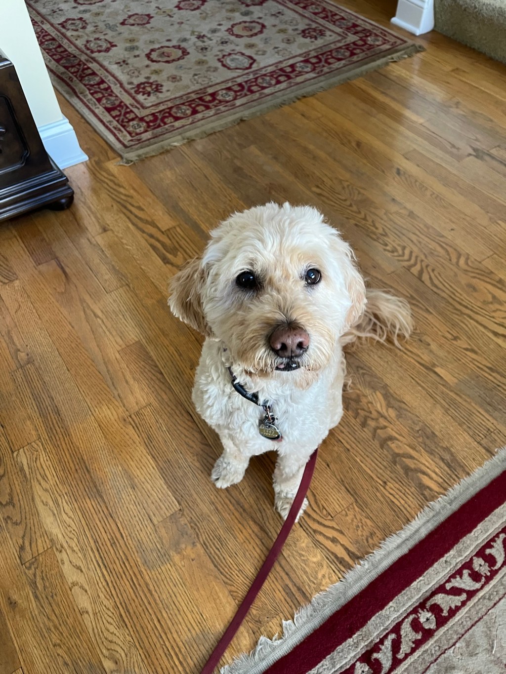 Goodbye Cooper