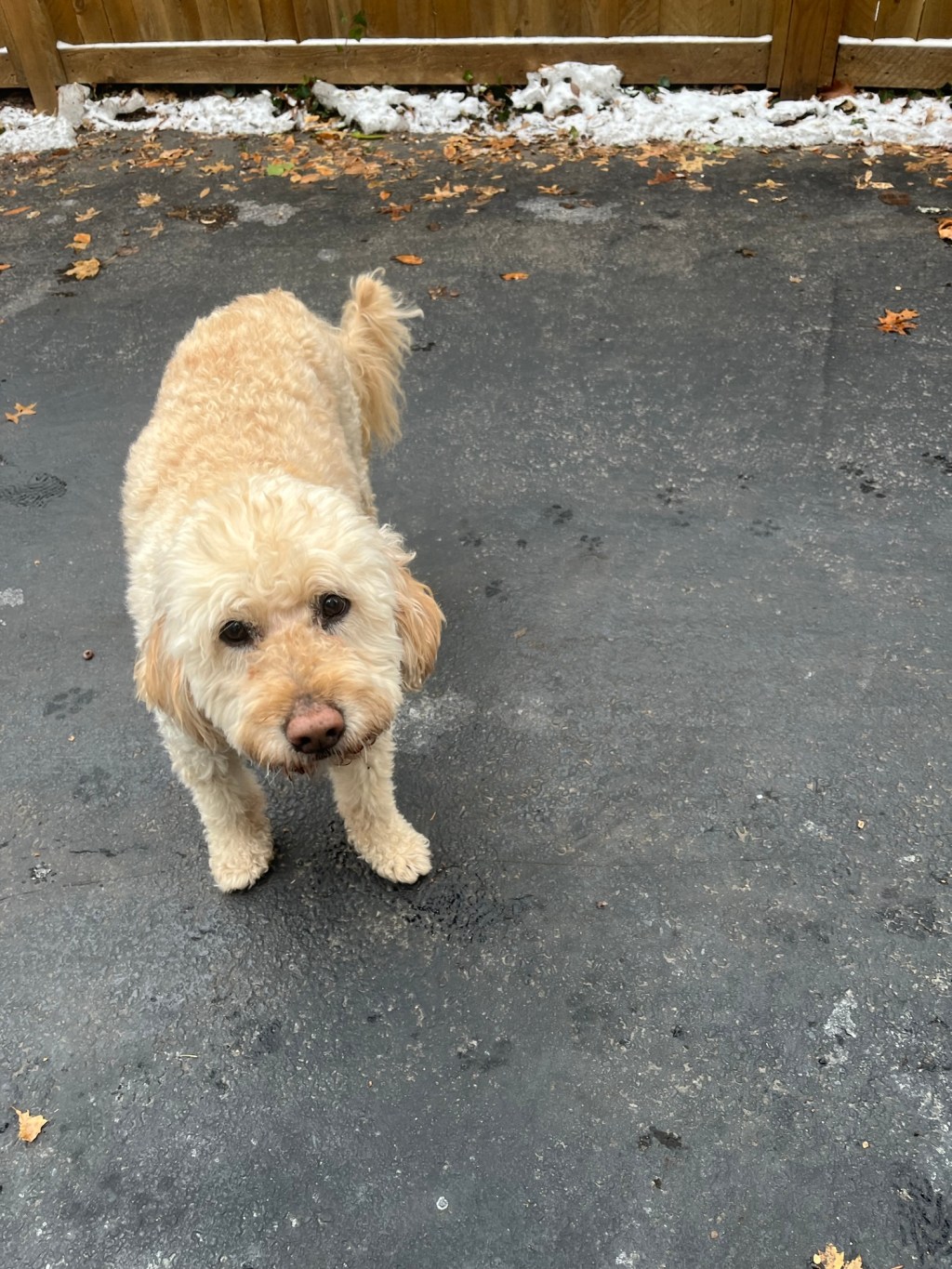 Thursday Cooper